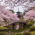 （こちらは実写風背景のみ）、AIちゃんがイメージした桜満開時の某観光地♪ 4枚目