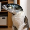 いろいろと。 4枚目