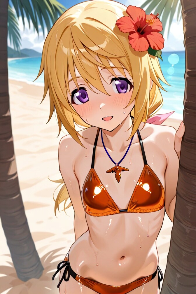 シャルロット・デュノア　水着