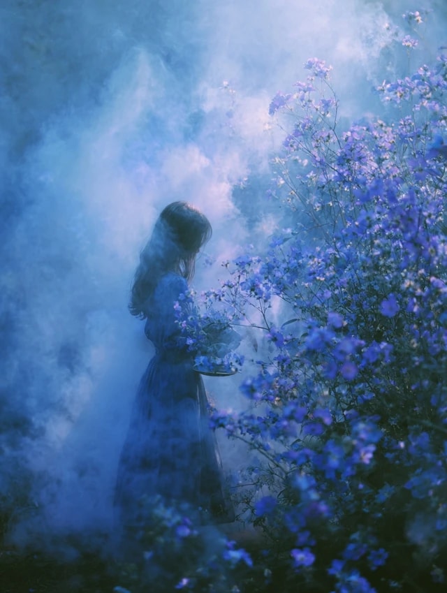 青い花 | の人気AIイラスト・グラビア