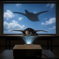 私は今、空を飛んでいる。 2枚目