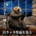『白ラッコ伝説 試してみた』【ニャンノ世界】 2枚目