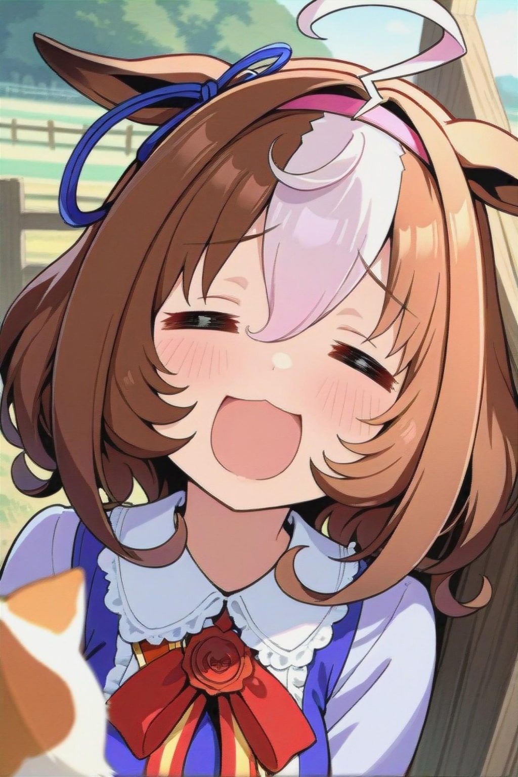 お誕生日のメイショウドトウ🎂