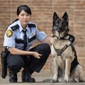 相棒は麻薬探知犬　My buddy is a drug detection dog 5枚目