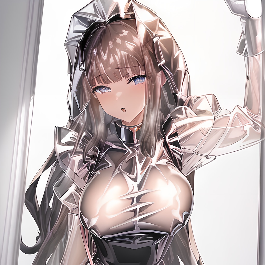 光沢スケスケメイド