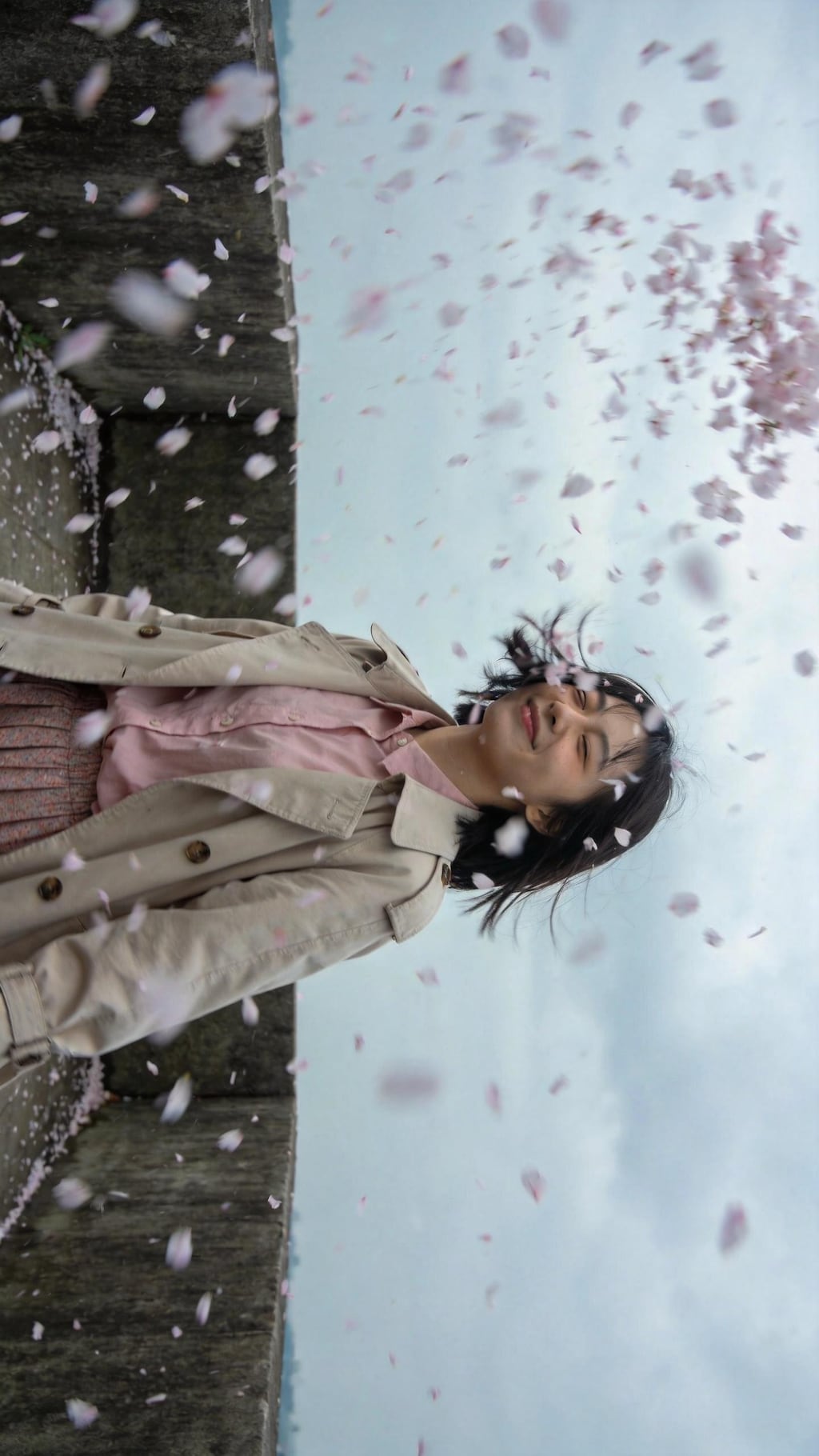 Beneath the Falling Blossom Sky