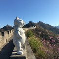万里の長城に建つプーさん 3枚目