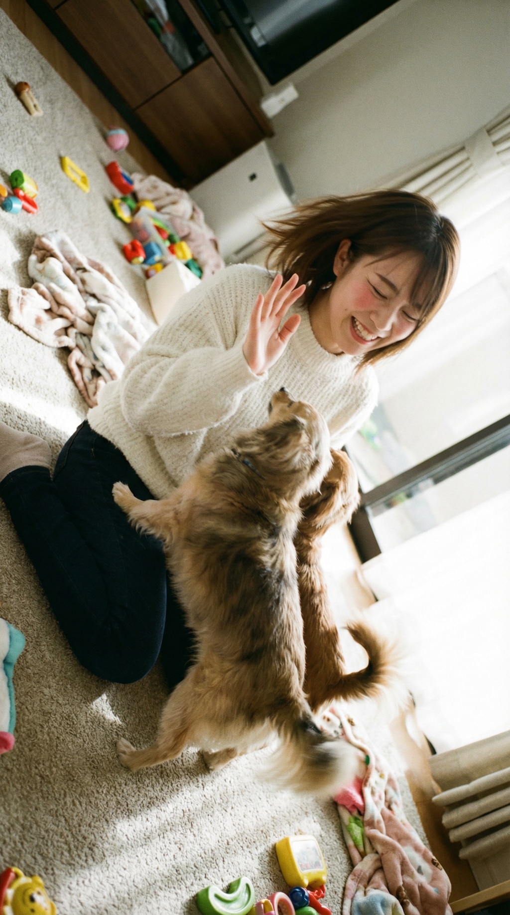 A Quiet Joy in Fur and Sunlight