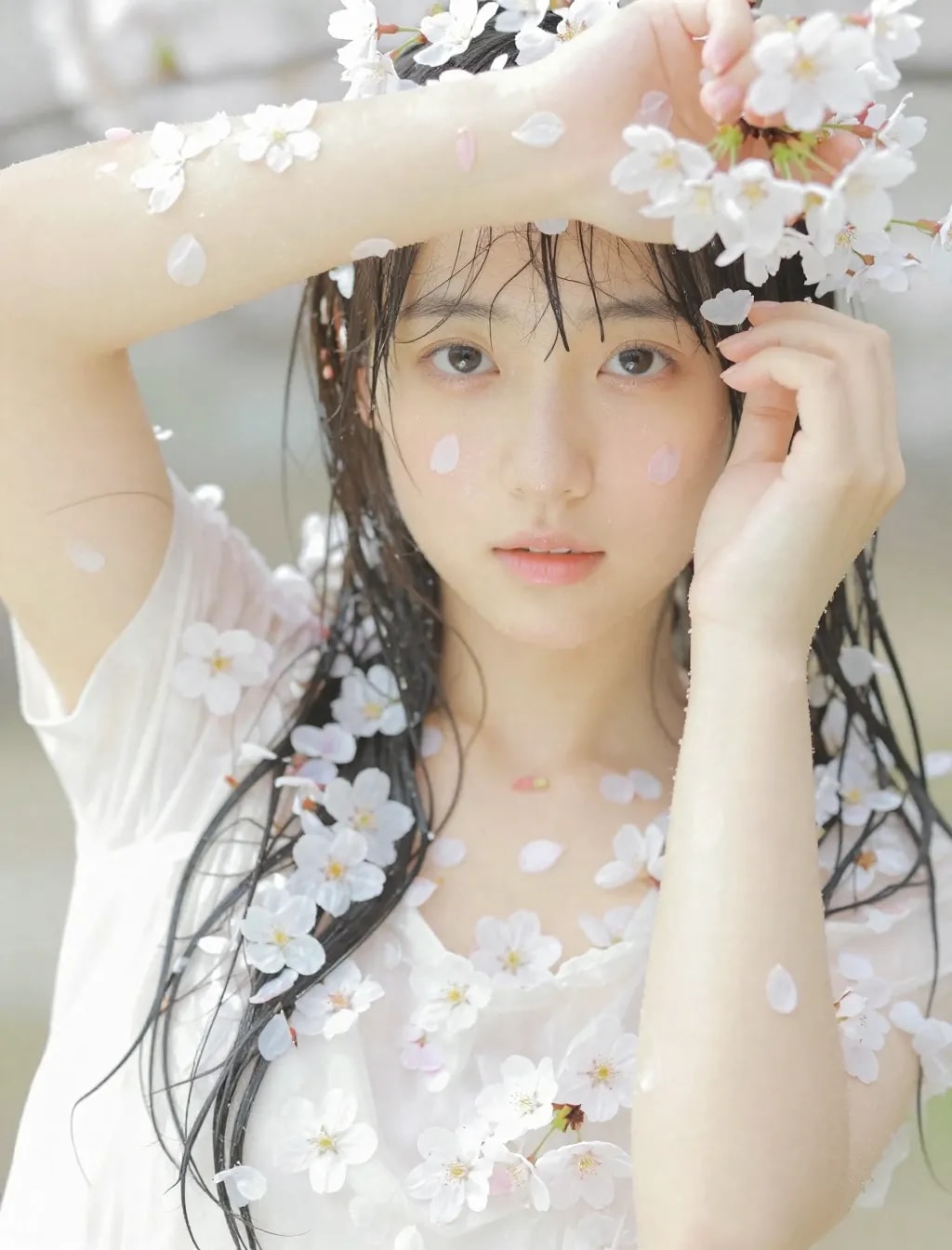 季節外れの桜まみれ