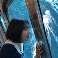 The Aquarium Express 4枚目