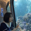 The Aquarium Express 3枚目