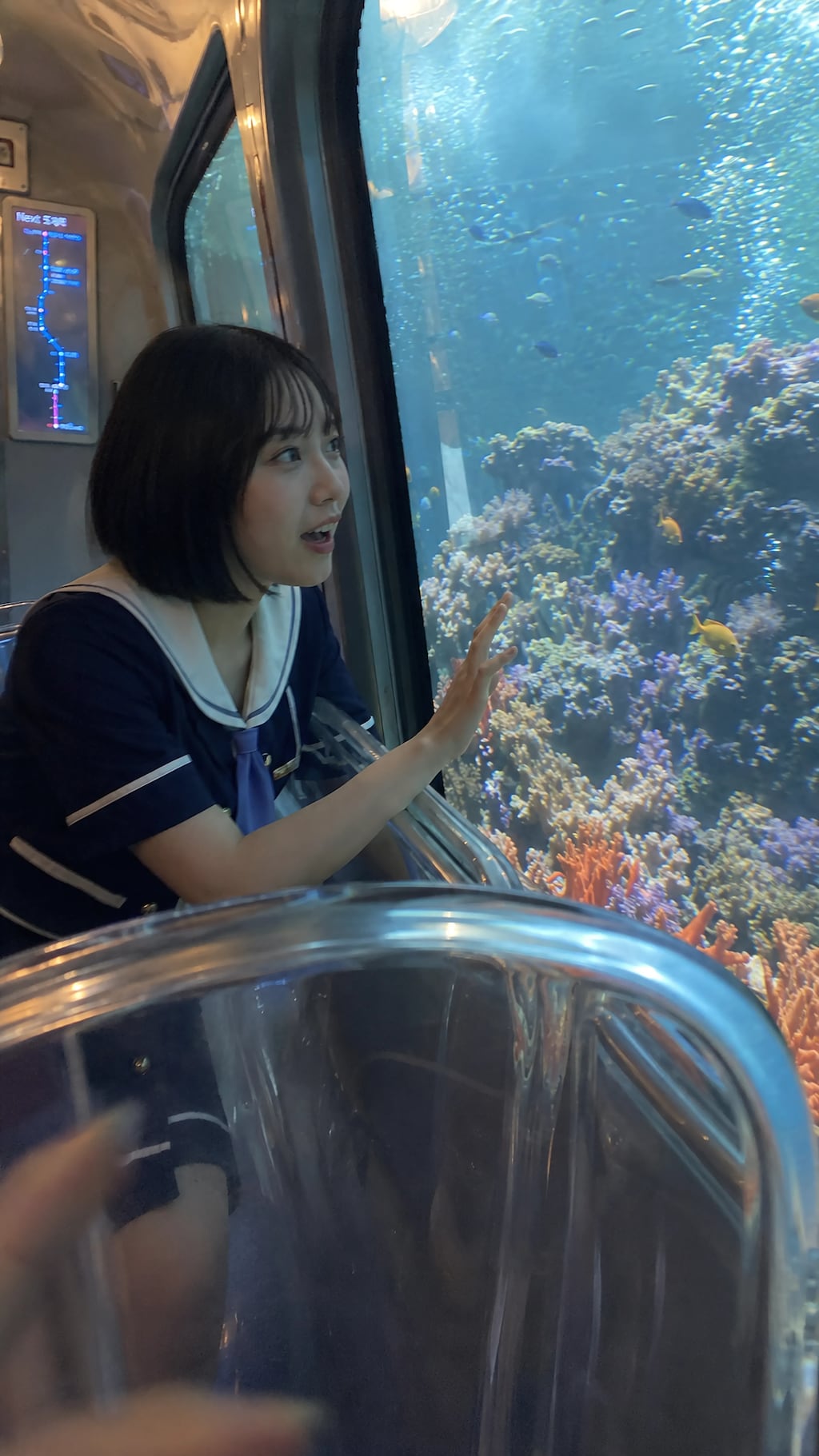 The Aquarium Express