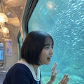 The Aquarium Express 2枚目