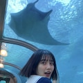 The Aquarium Express 5枚目
