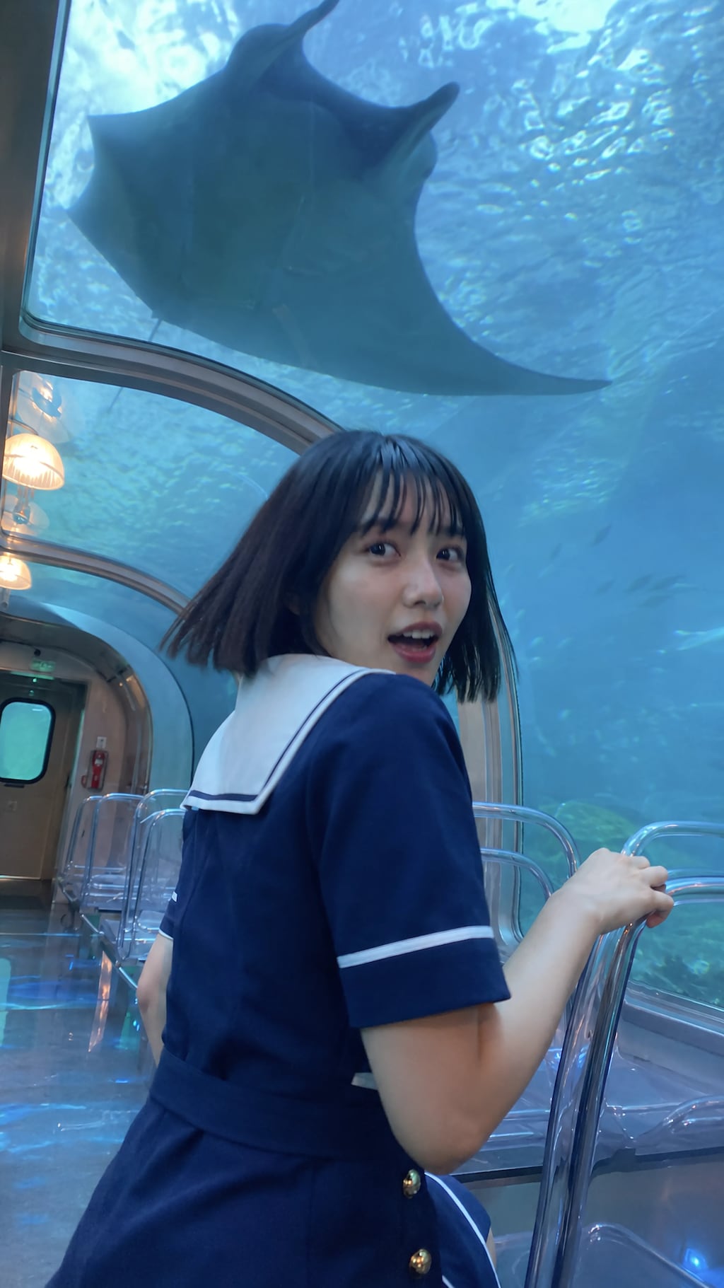 The Aquarium Express