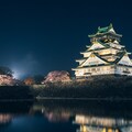 夜の大阪城 2枚目
