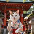 猫又 2枚目