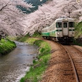 桜のある風景 2枚目