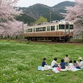 桜のある風景 5枚目