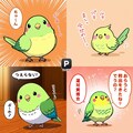 喋るインコまとめ 5枚目