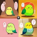 喋るインコまとめ 3枚目