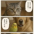 いぬとねこといんこ14 4枚目