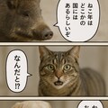 いぬとねこといんこ14 6枚目