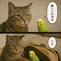 いぬとねこといんこ14 12枚目