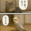 いぬとねこといんこ14 5枚目