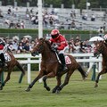 競馬レーサー 9枚目