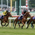 競馬レーサー 4枚目