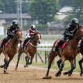 競馬レーサー 3枚目