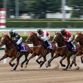 競馬レーサー 5枚目