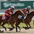 競馬レーサー 7枚目