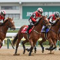 競馬レーサー 6枚目