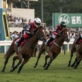 競馬レーサー 2枚目