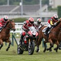 競馬レーサー 10枚目