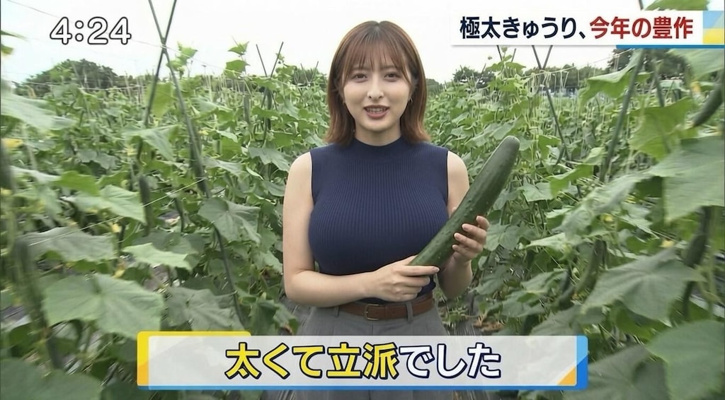 地方アナときゅうり