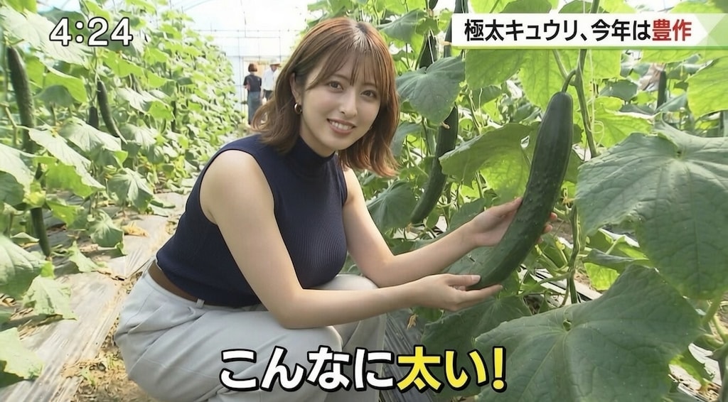 地方アナときゅうり