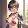 ビキニアーマーギャルズ9 2枚目