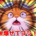 #爆ぜてヨシ！【ネコノ企画】 2枚目