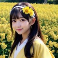 菜の花畑がお満開 2枚目