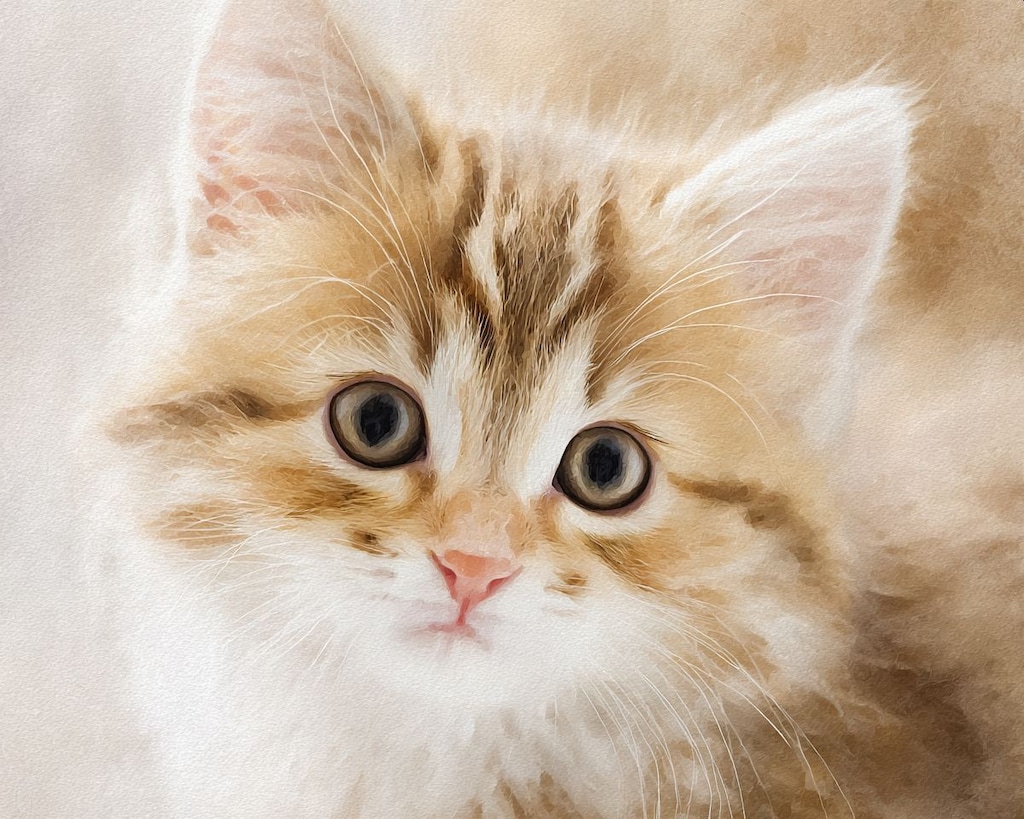 子猫アップ