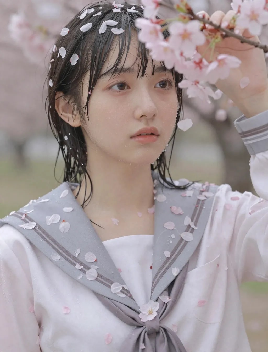 季節外れの桜まみれ＆セーラー服