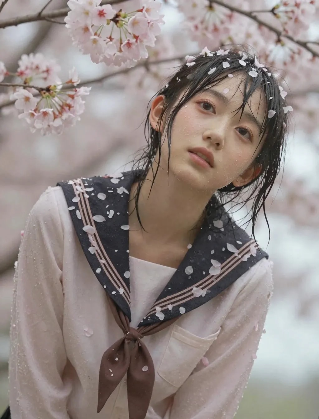 季節外れの桜まみれ＆セーラー服