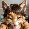 猫の嫁さん 5枚目