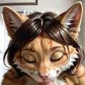 猫の嫁さん 4枚目