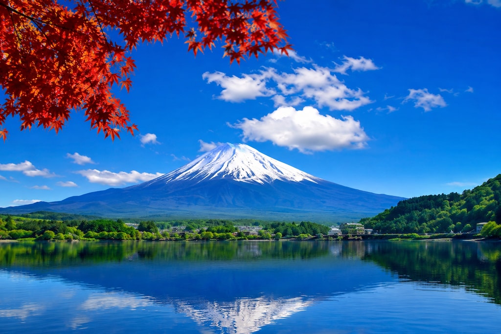 嫌な客になってみた