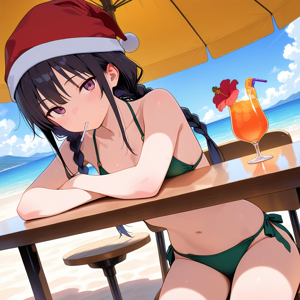 南半球のクリスマス