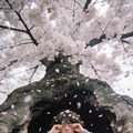 Slumber in the Bark 2枚目